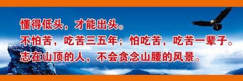 kaiyun官方网站:中水管道有井吗(中水管道和排水管道有区别吗)